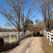 Rapid-Recovery-Storm-Debris-Cleanup-In-Oxford-MS 12